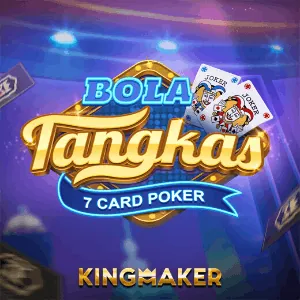 Gaming Provider D